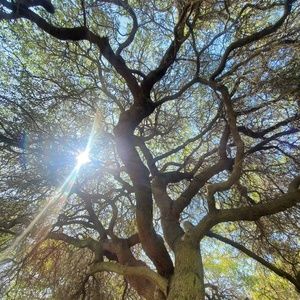 Meet your Posher, Chase